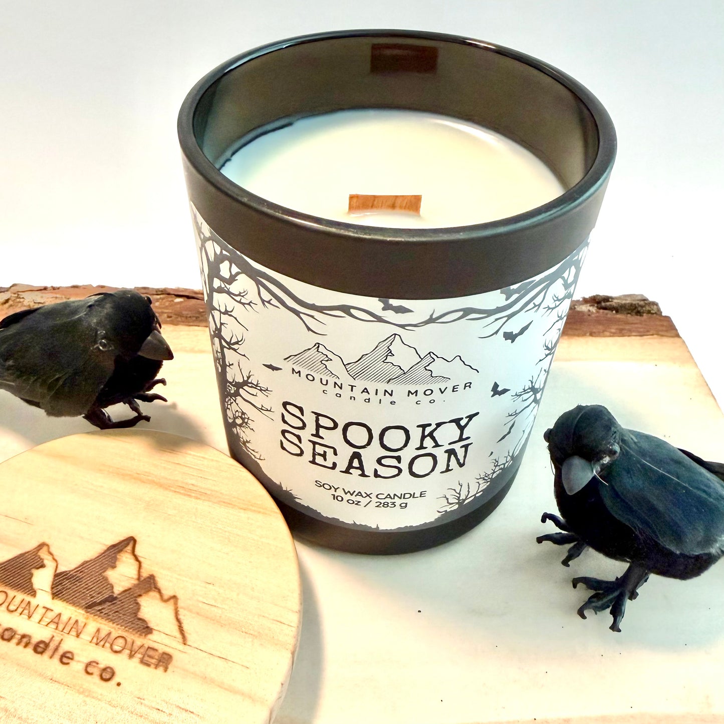 Spooky Season 10 oz Candle